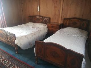 SnowGoose Group of Houseboats - Srinagar - 4