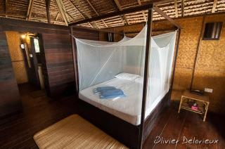 Rimba Resort - Dive Centre & Spa - Pulau Sibu - 6