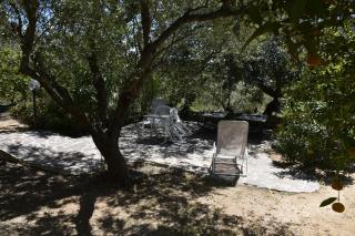 Villa Arancio Giorgio - Cala Liberotto - 4