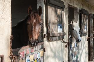 Domaine Equestre Etretat - 1