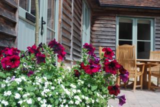 Cowdray Holiday Cottages - Midhurst - 7