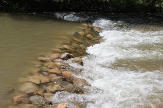 La Farga de la Muga - 3