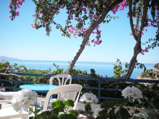 Hotel Hariklia - Agia Galini - 4