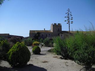 Mas la Torre - Palau-Saverdera - 5