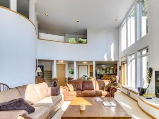 Forest Ridge Retreat - 4