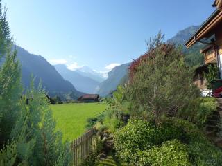 Haus Abendberg - Wilderswil - 6