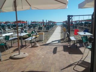 Hotel Majestic - Cesenatico - 4