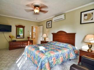 Tropical Lagoon Resort - Port Antonio - 1