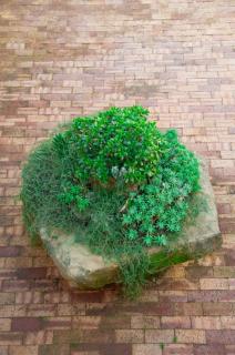 Casevacanza Trentovamare - 4