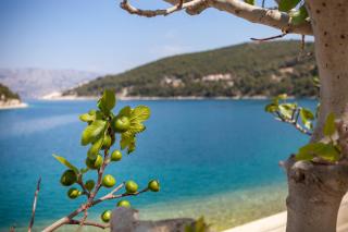House Tea, for 5, Sea View, 5m away from the Sea - Pučišća - 9