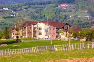 Pensiunea Poiana Viselor - Poiana Mărului - 9