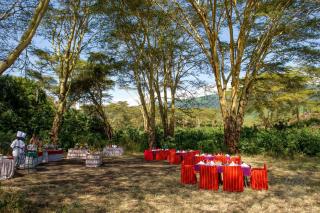 Ngorongoro Serena Safari Lodge - Ngorongoro - 4