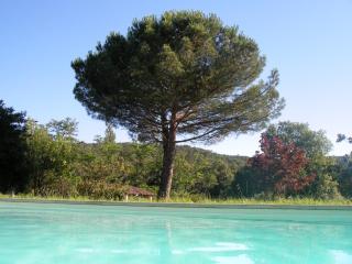 La Lauze - Vielmur-sur-Agout - 7