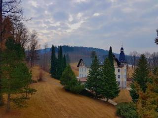 Villa Grohmann - Lipova Lazne - 8