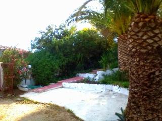 Irini Studios - Plomari - 7