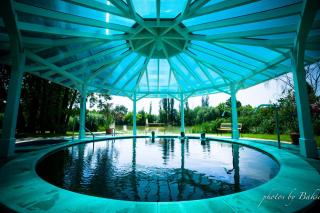 Liget Wellness és Konferencia Hotel - Szarvas - 6