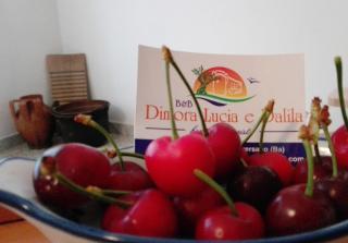 B&B Dimora Lucia e Dalila - 8