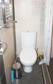 Apartment near the Black Sea Ureki - Ureki - 3