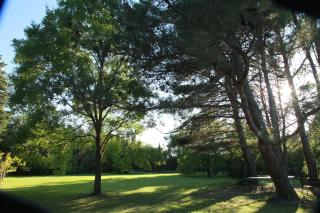 Mas la Provence - LʼIsle-sur-la-Sorgue - 5