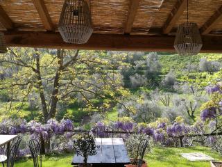 Agriturismo Tananei - Marliana - 3