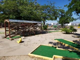 Kingman KOA - Kingman - 6