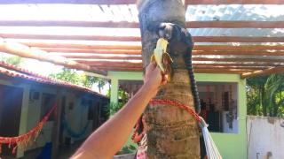 Pousada Tikuna - Itacaré - 1