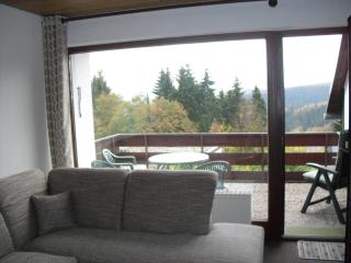 First Class Residence - Winterberg - 7