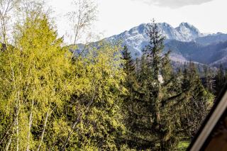 Apartamenty Chata Pod Reglami Zakopane - 5