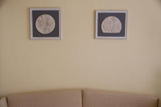 Guest House Domo Florenzia - Florenz - 6