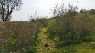 Slettegaard - Slettestrand - 7