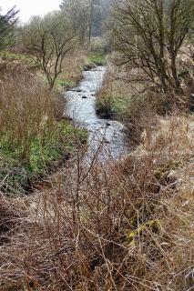 Slettegaard - Slettestrand - 3