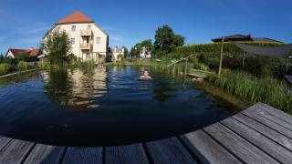 ad vineas Gästehaus Nikolaihof-Hotel Garni - Mautern - 5