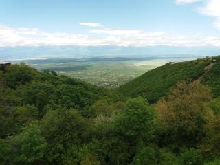 Hotel Martinichi - Sighnaghi - 8