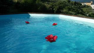 Podere Gianpaolo - Pescia - 3