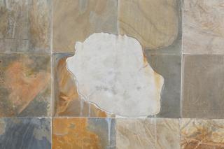 Le Bleuet - Saint-Leu - 5