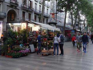 Hostal Mont Thabor - Barcelona - 2