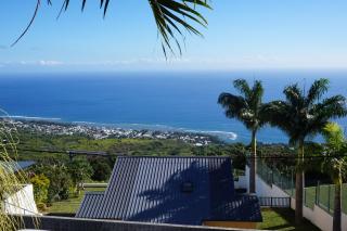 Le Bleuet - Saint-Leu - 6