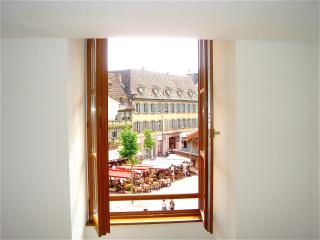 Sous les Tilleuls PARKING HYPERCENTRE 4-6 Personnes - Colmar - 5