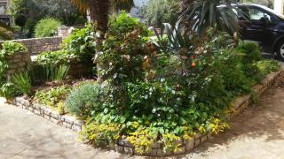 Apartments Barbara - 6