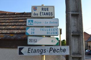 La Licorne - Lamarche-sur-Saône - 5