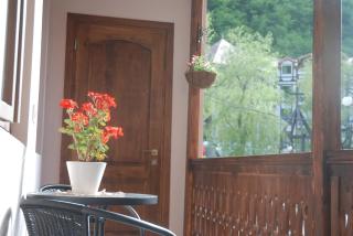Borjomi Central Park Apartment - 9