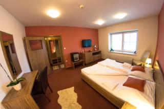 Wellness Hotel Hukvaldy POLOPENZE A WELLNESS V CENĚ - Příbor - 4
