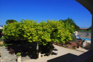Le Mas de l'Amandier - Saint-Saturnin-lès-Avignon - 2