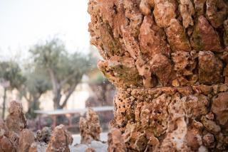 Kfar Hanokdim - Glamping & Camping - Arad - 6