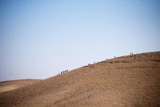 Kfar Hanokdim - Glamping & Camping - Arad - 5