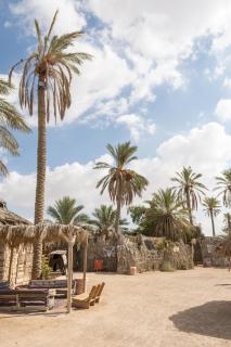 Kfar Hanokdim - Glamping & Camping - Arad - 3