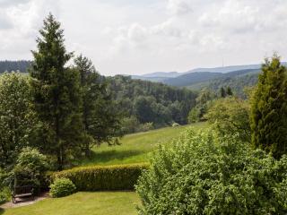 Pension Haus Brieden - Winterberg - 4