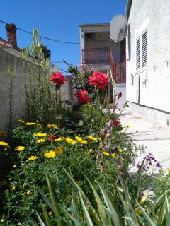 Apartment Cvita - 1