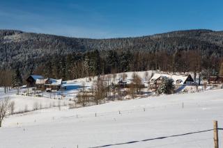 Chata Pod lipami - 2