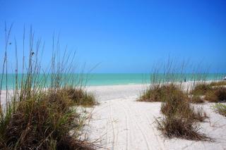 Island Inn - Sanibel - 5